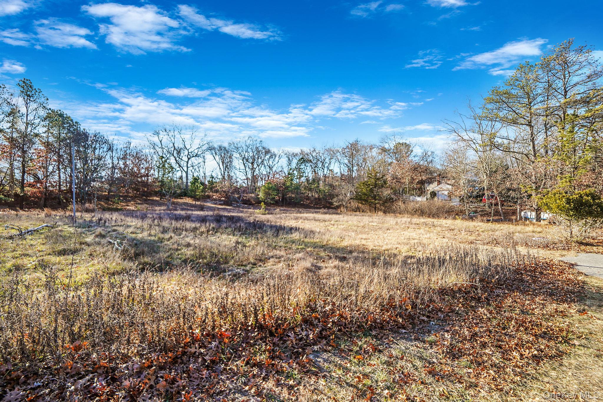 267 Old Country Road Eastport, NY 11941 - Photo 3 of 17 View of undeveloped land