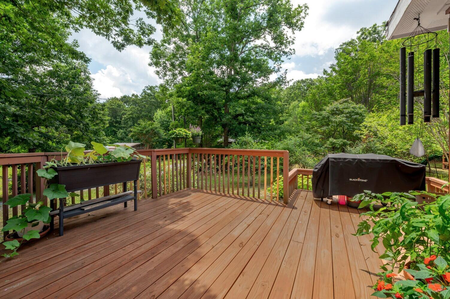 1390 Tatum Gulf Road Cloudland, GA 30731 - Photo 30 of 50 GT back deck