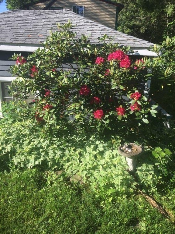 27 Fairfield Street Maynard, MA 01754 - Photo 19 of 29 Gallery Image 19