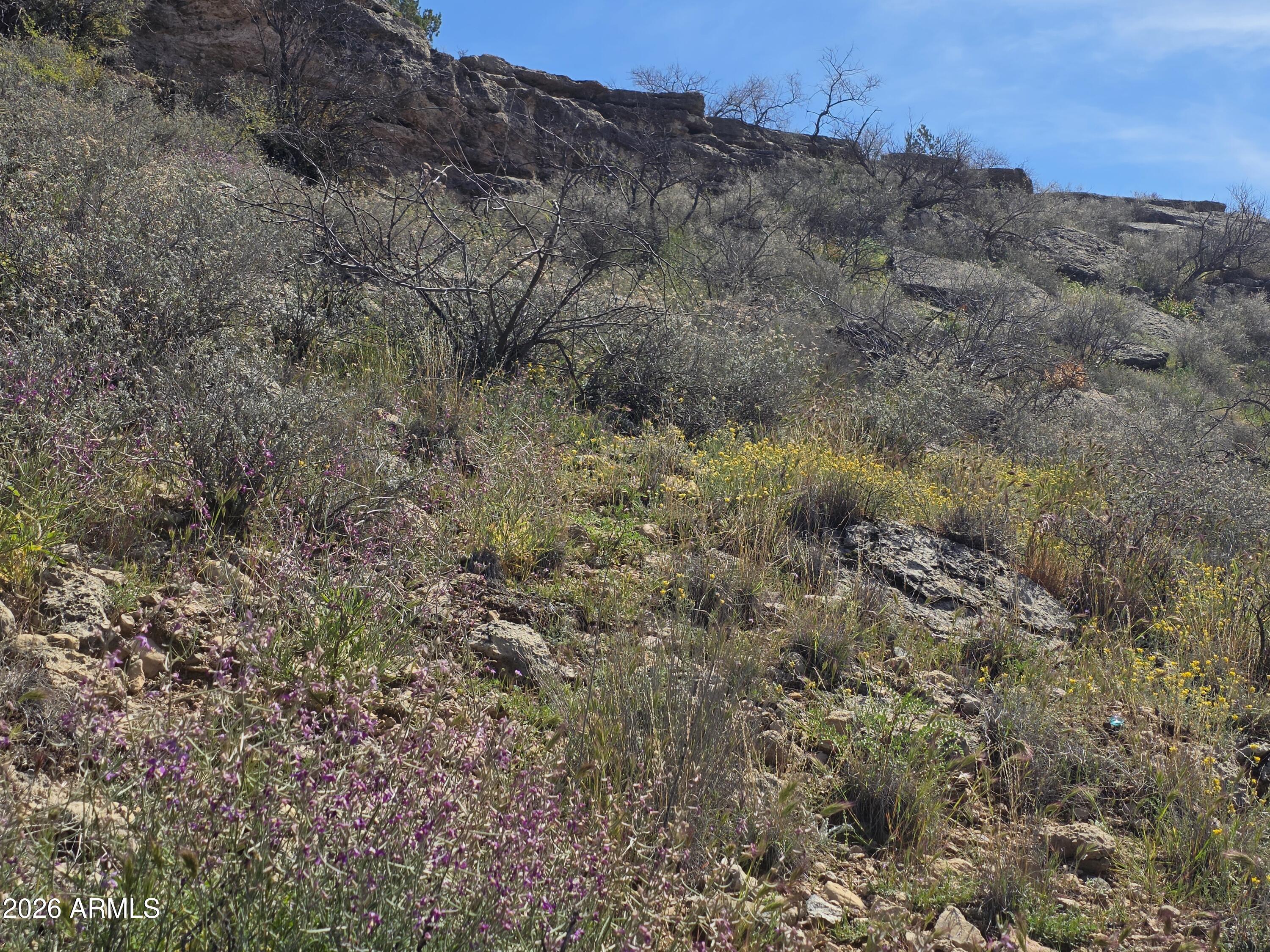 4870 East Goss Road, Unit 684 Rimrock, AZ 86335 - Photo 3 of 8