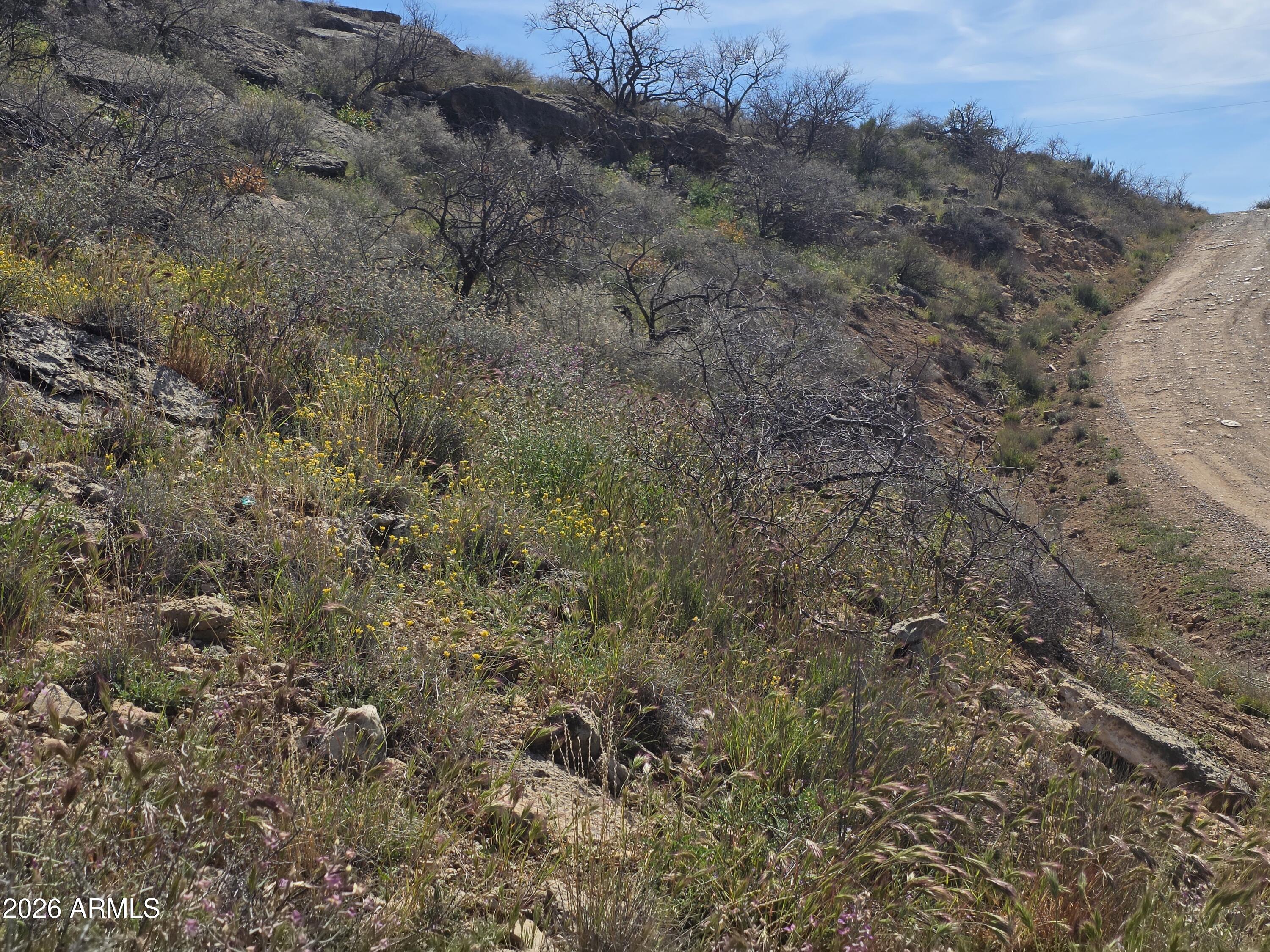 4870 East Goss Road, Unit 684 Rimrock, AZ 86335 - Photo 7 of 8 a view of a dry field with trees in the background