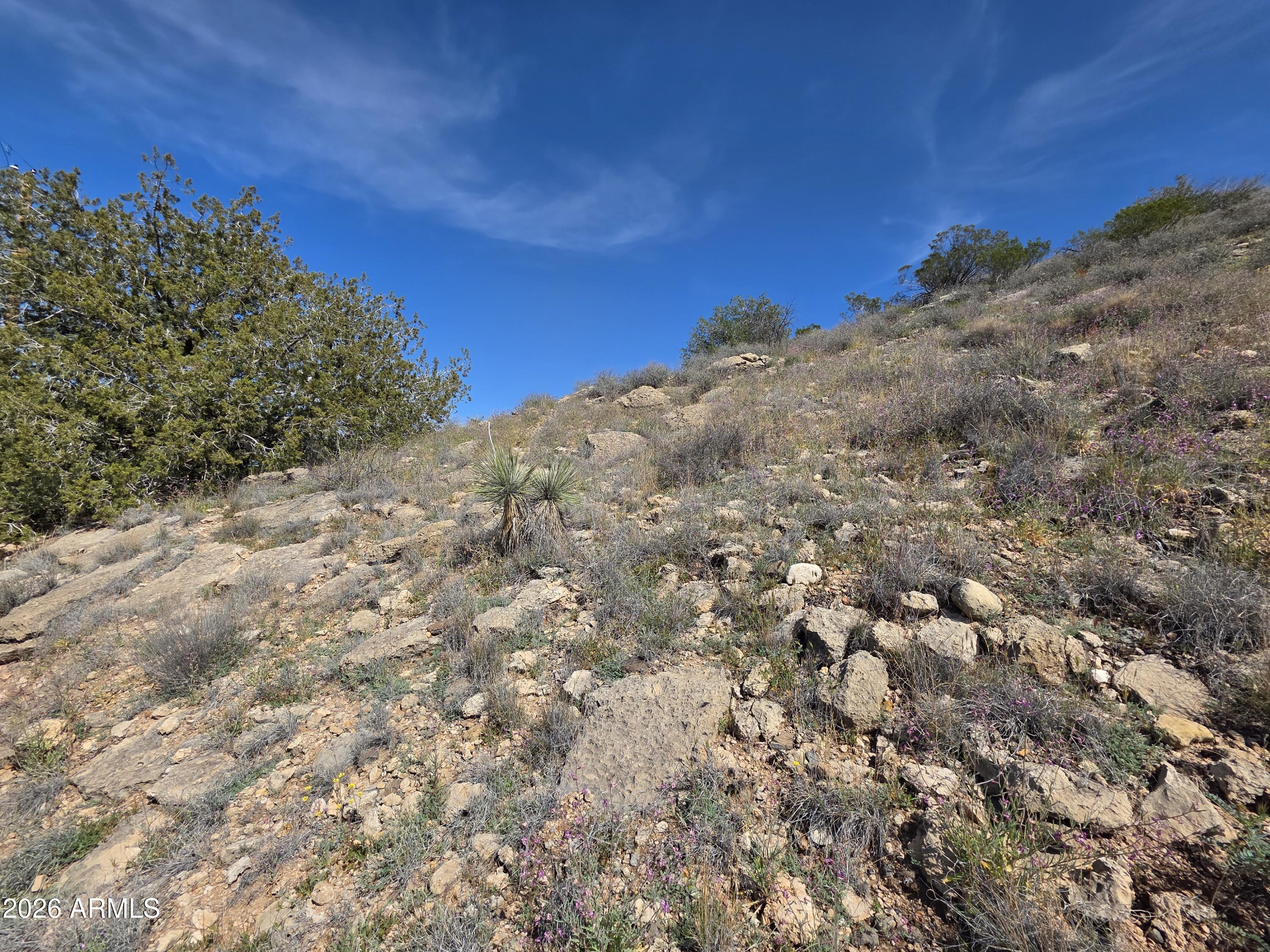 4870 East Goss Road, Unit 684 Rimrock, AZ 86335 - Photo 8 of 8 a view of a dry yard with lots of bushes