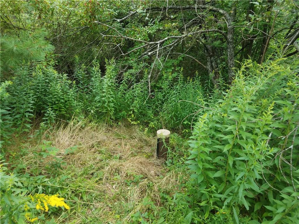 276 Cape Road Hollis Center, ME 04042 - Photo 13 of 18 Photo