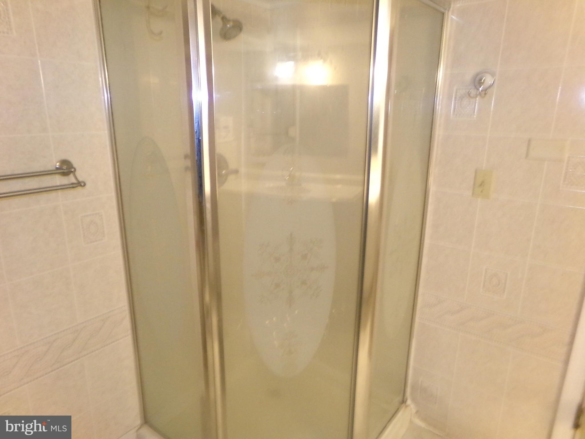 1155 East Newport Road Lititz, PA 17543 - Photo 28 of 33 basement shower