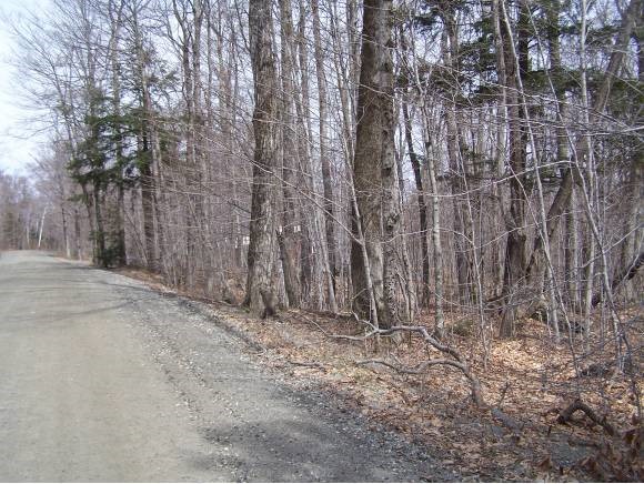 61 Captain Copeland Road Dover, VT 05341 - Photo 1 of 1