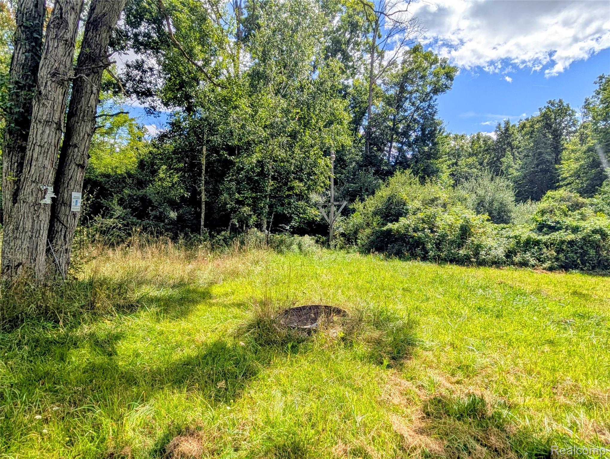 0 South Maywood Road Ashley, MI 48806 - Photo 5 of 32 PXL_20250829_182256510.MP~2.jpg