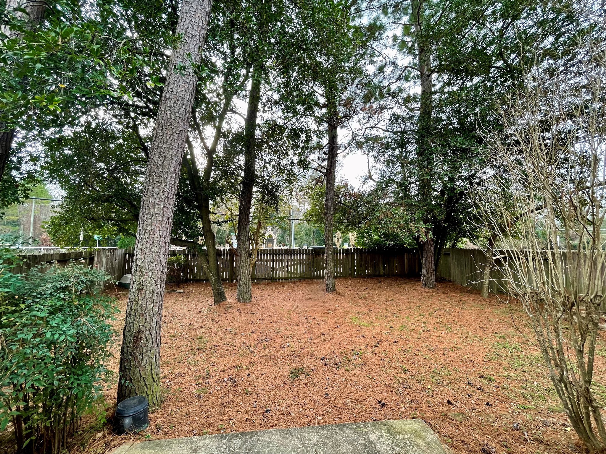 2223 Trey Rogillios Way Conroe, TX 77304 - Photo 10 of 10 a view of swimming pool with a tree