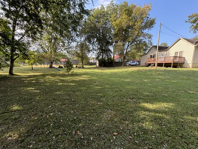 a view of a large trees with a big yard