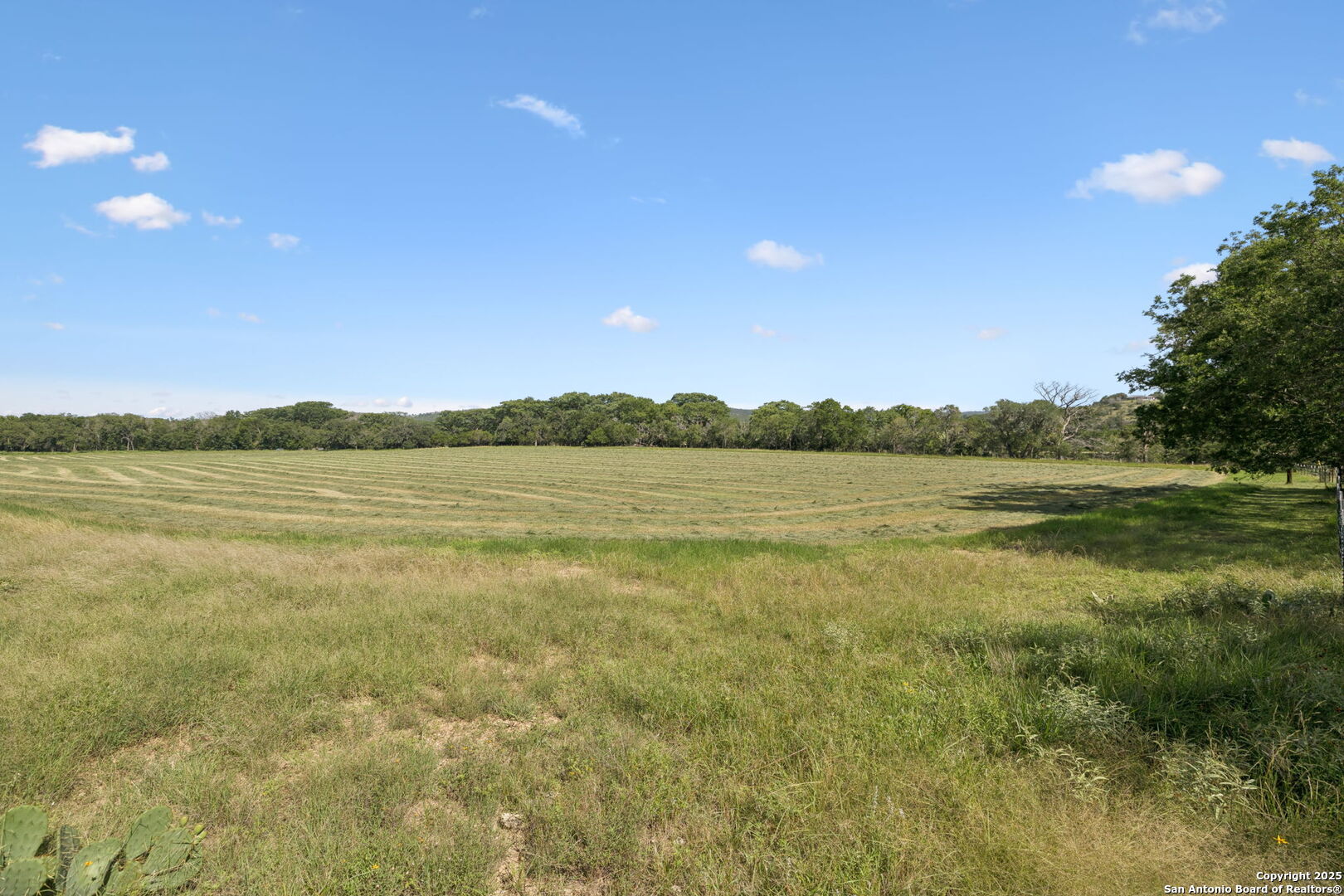 1078 Fm 480 Center Point Center Point, TX 78010 - Photo 30 of 38