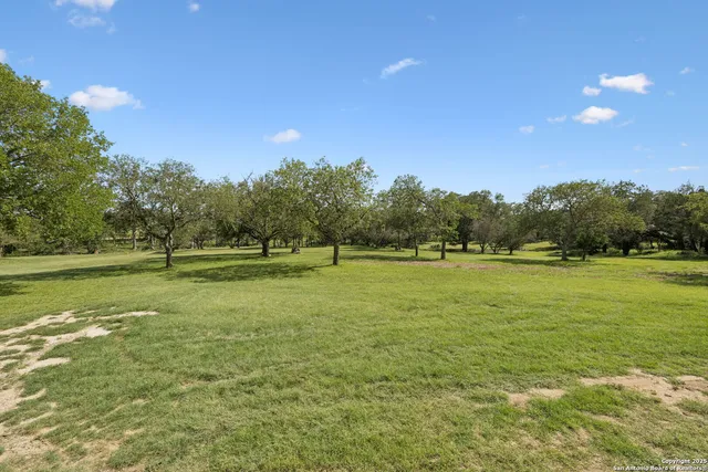 a view of a backyard with large trees