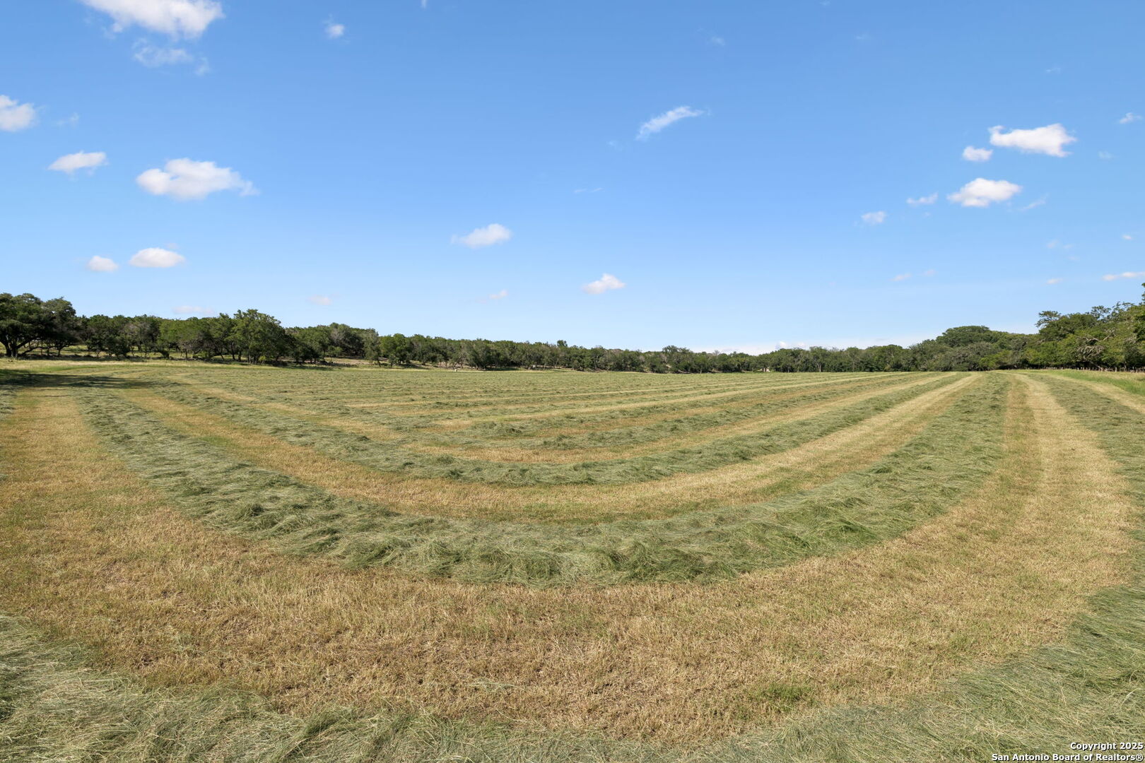 1078 Fm 480 Center Point Center Point, TX 78010 - Photo 34 of 38