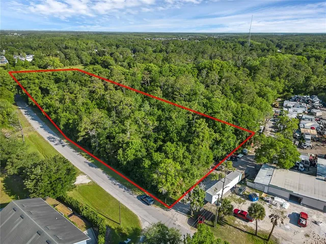 a view of a yard with plants