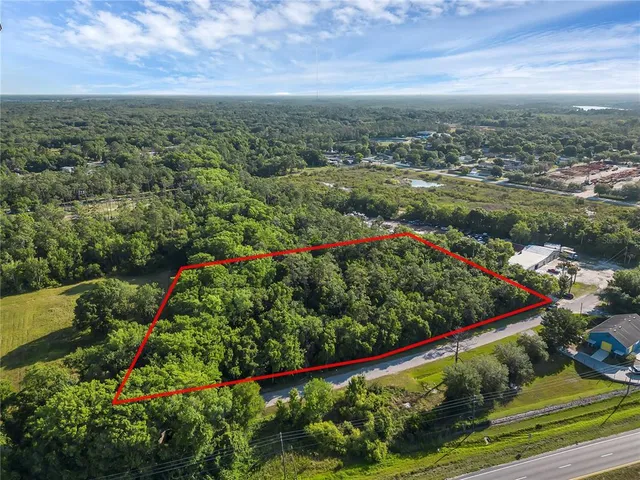 an aerial view of green landscape with trees houses and mountain view