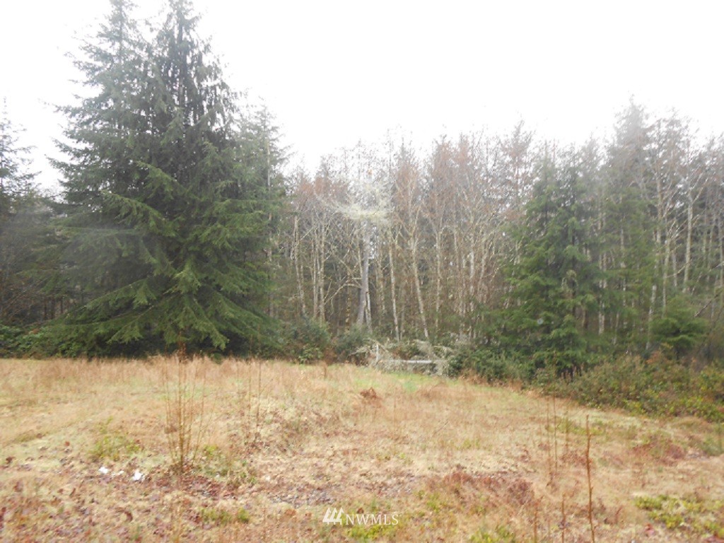 4482 East Rasor Road Belfair, WA 98528 - Photo 4 of 18 Gallery Image 4