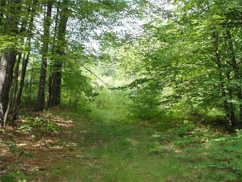 0 South Bridgton Road Bridgton, ME 04009 - Photo 2 of 11 Photo