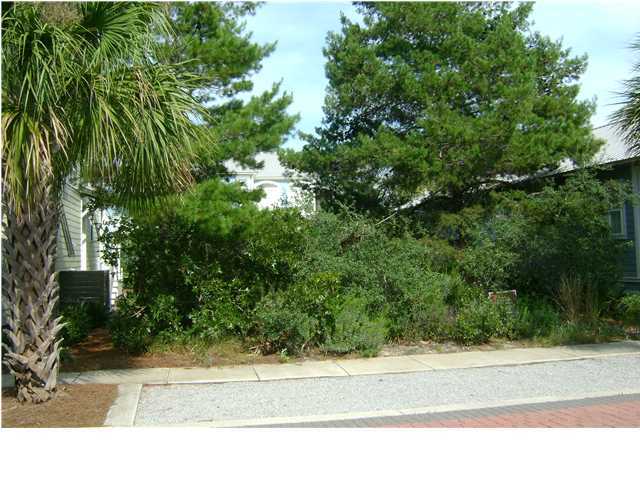 Lot 22 Seacrest Beach Blvd Inlet Beach Inlet Beach, FL 32461 - Photo 3 of 16 a view of a garden