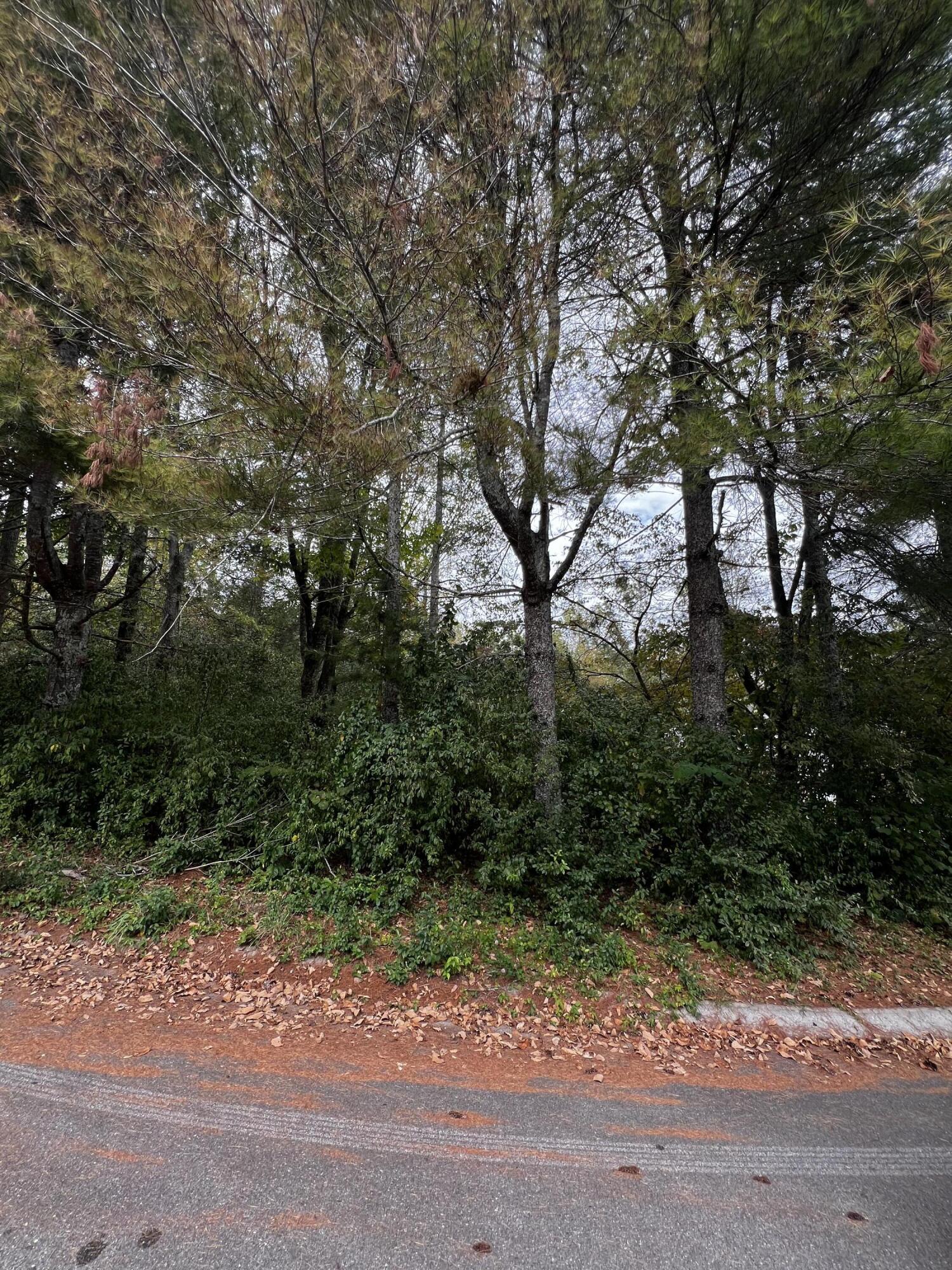 4973 Saginaw Road Ooltewah, TN 37363 - Photo 3 of 6 IMG_7438