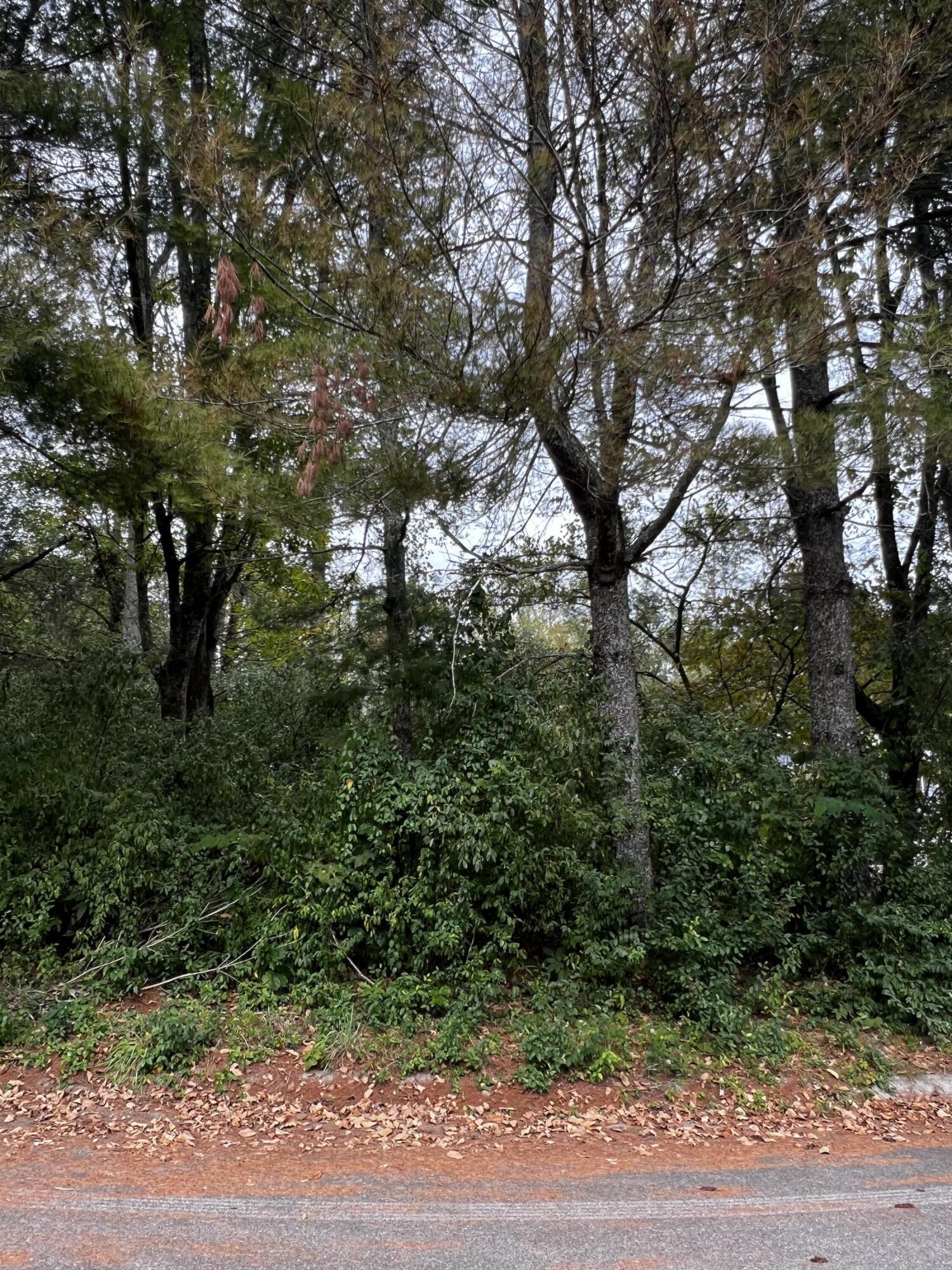 4973 Saginaw Road Ooltewah, TN 37363 - Photo 4 of 6 IMG_7440