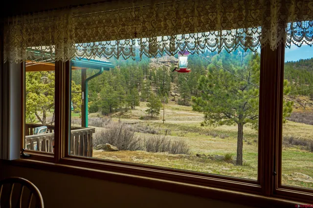 a view of a window with a tree in front of it