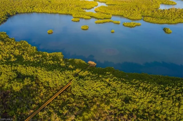 a view of a bunch of plants and flowers