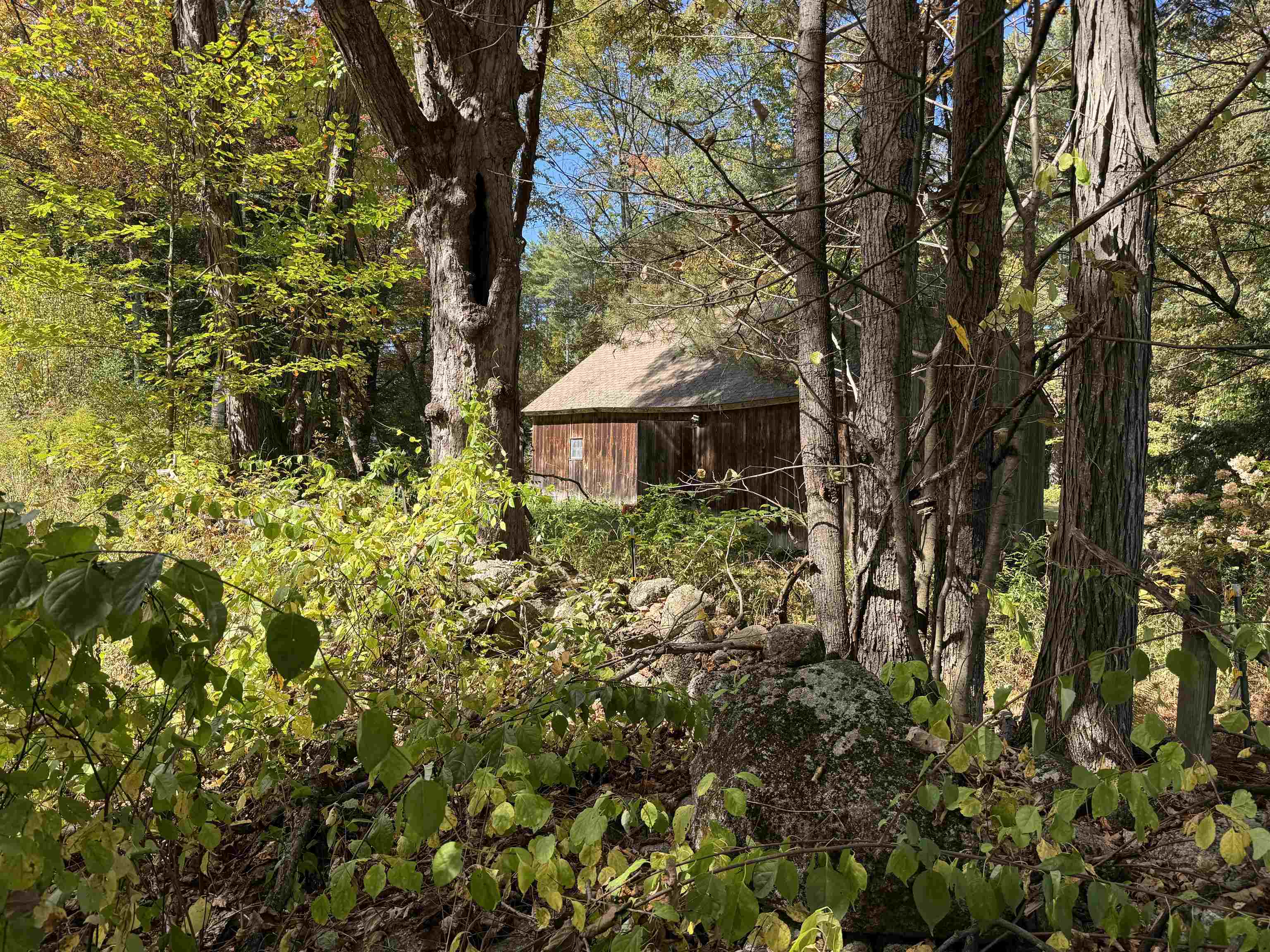 100 Antrim Road Hancock, NH 03449 - Photo 46 of 58