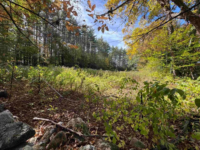 $575,000 | 100 Antrim Road, Hancock, NH 03449