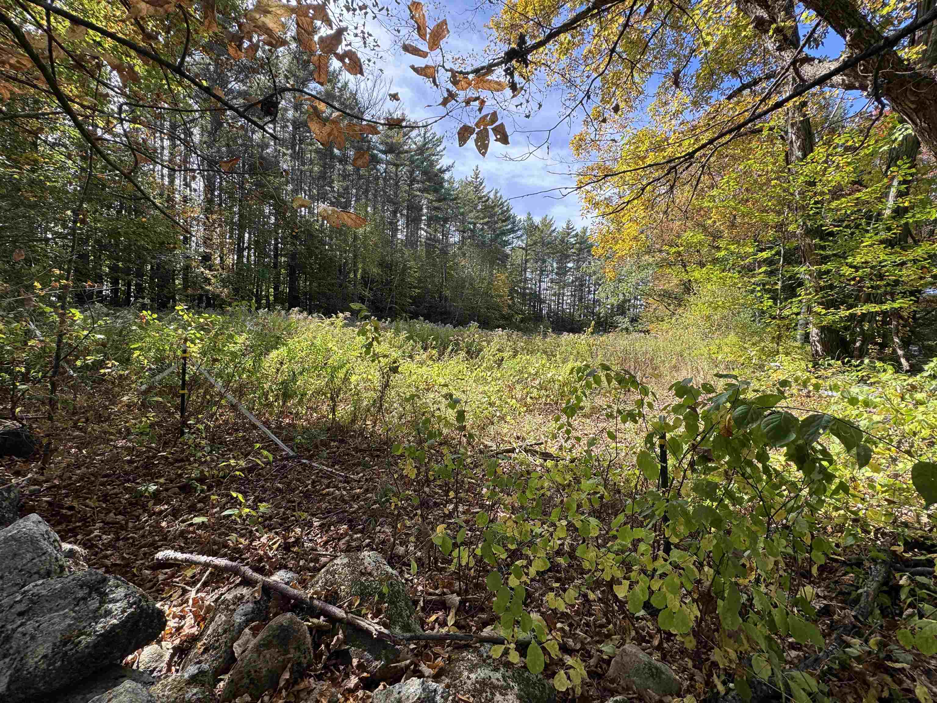 100 Antrim Road Hancock, NH 03449 - Photo 48 of 58