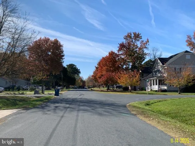 a view of a park with large trees