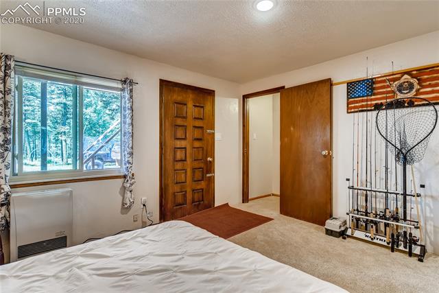 761 Pinewood Road Florissant, CO 80816 - Photo 22 of 28