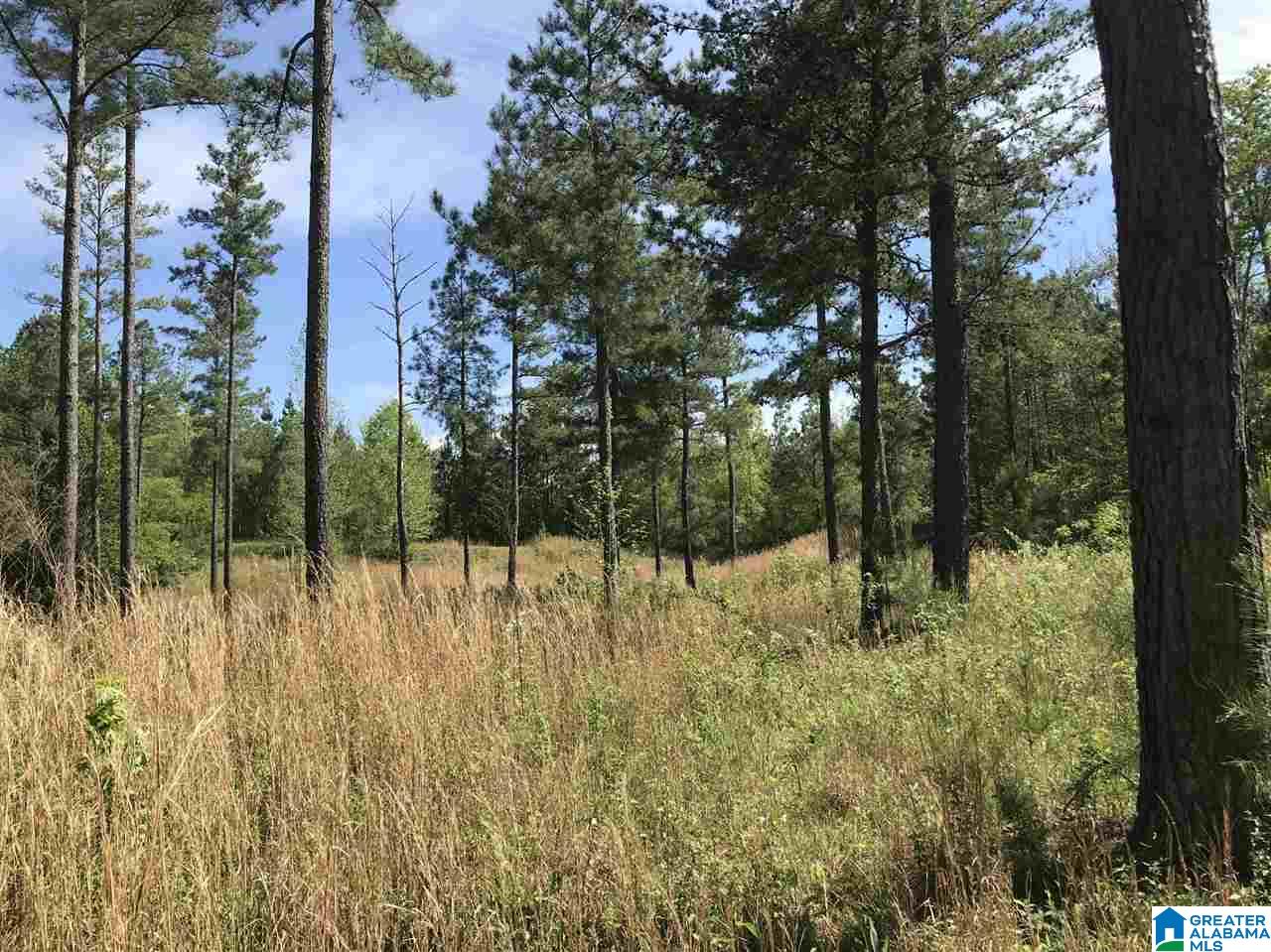 0 Acton Road, Unit 53 ACRE Moody, AL 35004 - Photo 28 of 33 Gallery Image 28