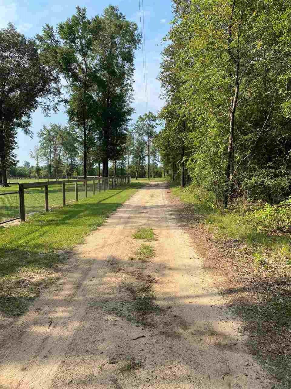 3070 Bud Diamond Road Jay, FL 32565 - Photo 16 of 26