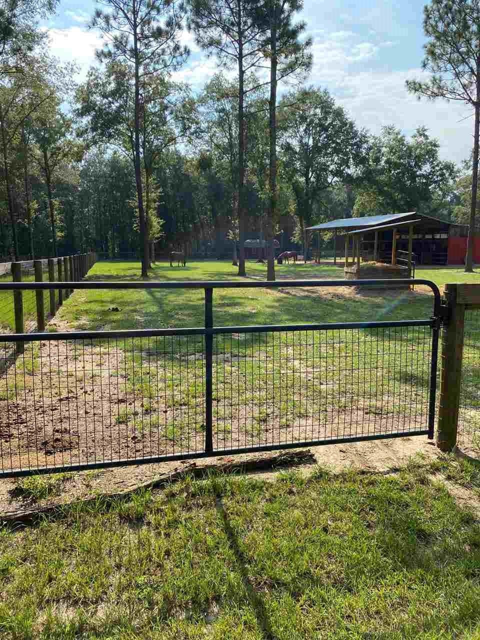3070 Bud Diamond Road Jay, FL 32565 - Photo 17 of 26