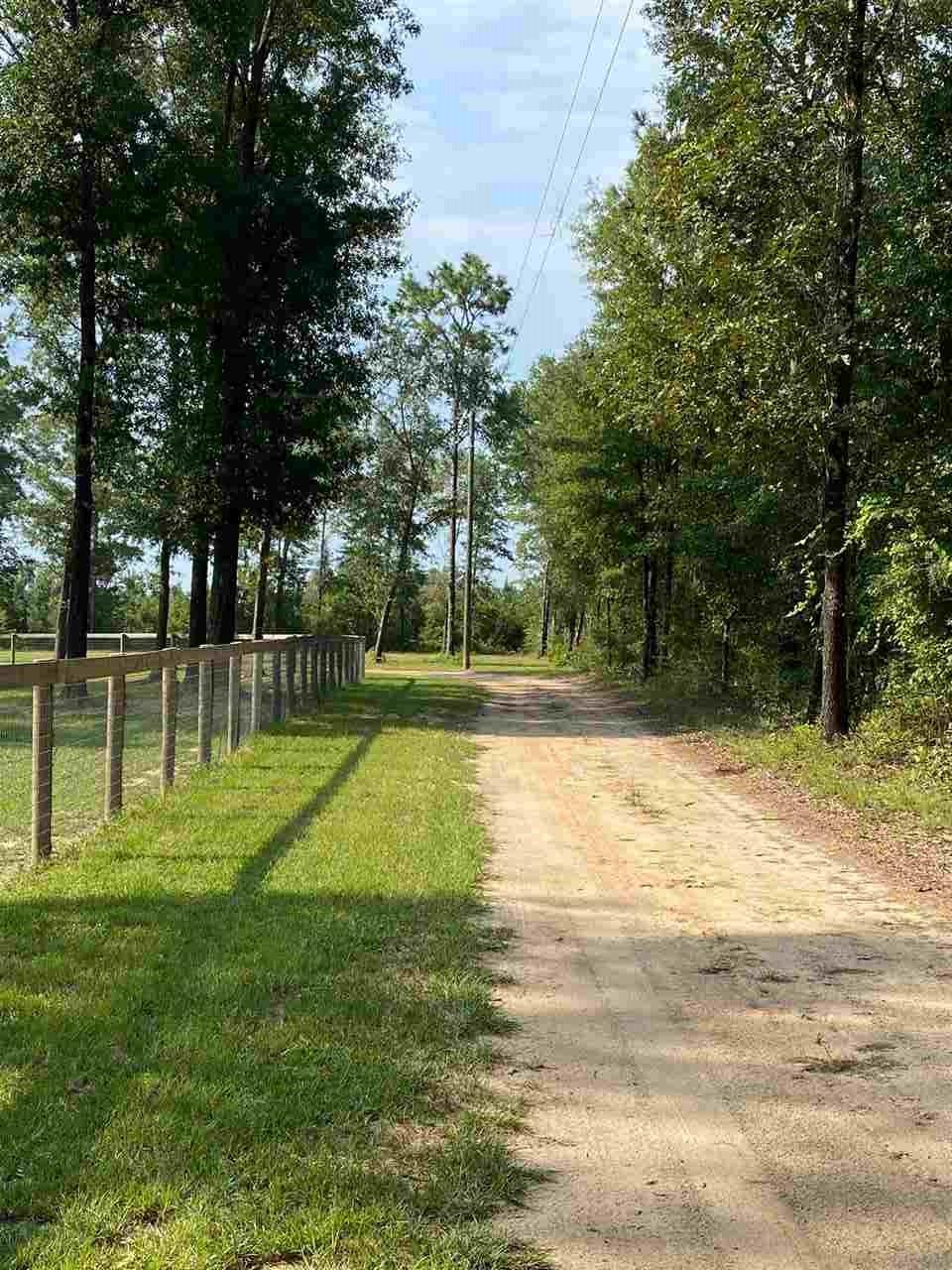 3070 Bud Diamond Road Jay, FL 32565 - Photo 19 of 26
