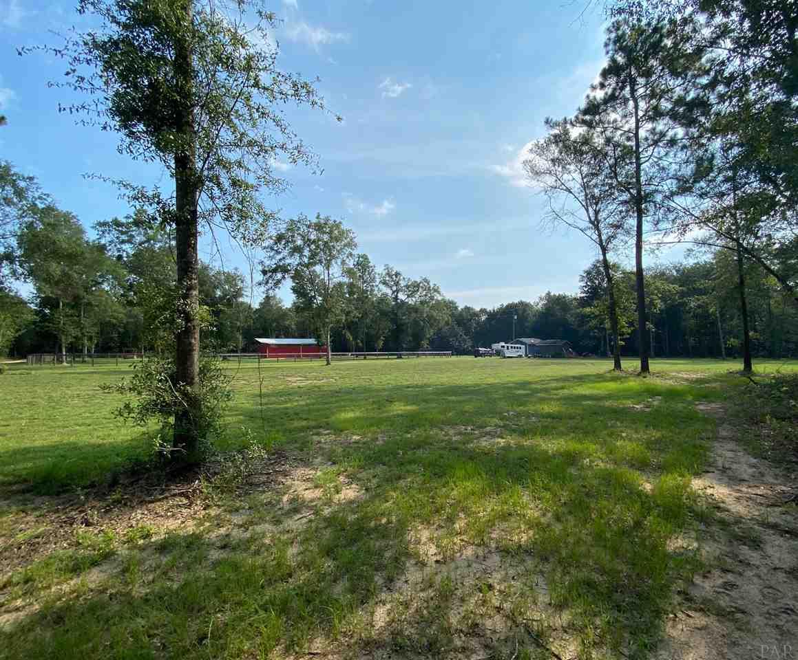 3070 Bud Diamond Road Jay, FL 32565 - Photo 20 of 26 view of the partially cleared 10.45 acres