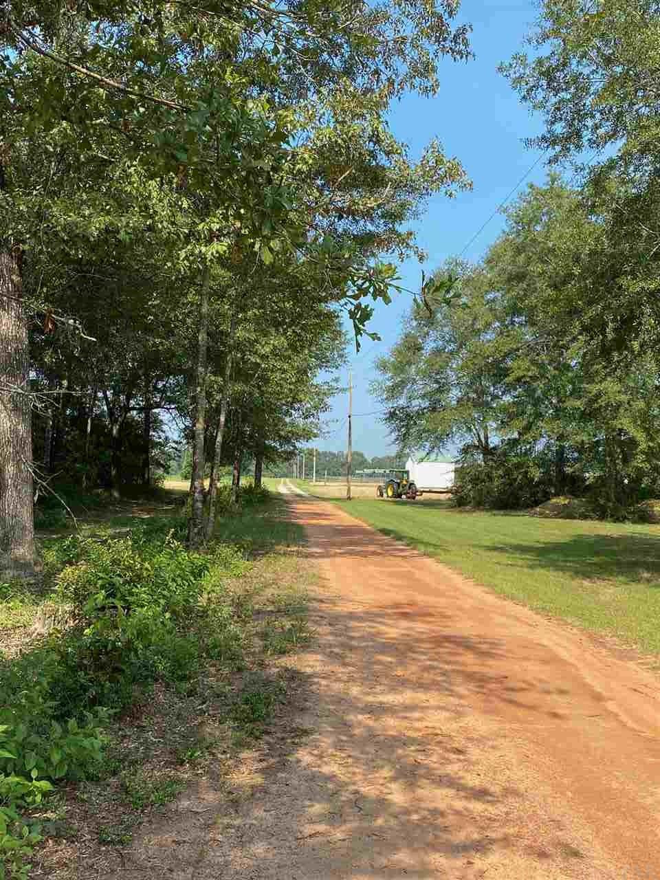 3070 Bud Diamond Road Jay, FL 32565 - Photo 26 of 26