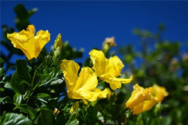 $895,000 | 6314 Hellman Avenue, Rancho Cucamonga, CA 91701