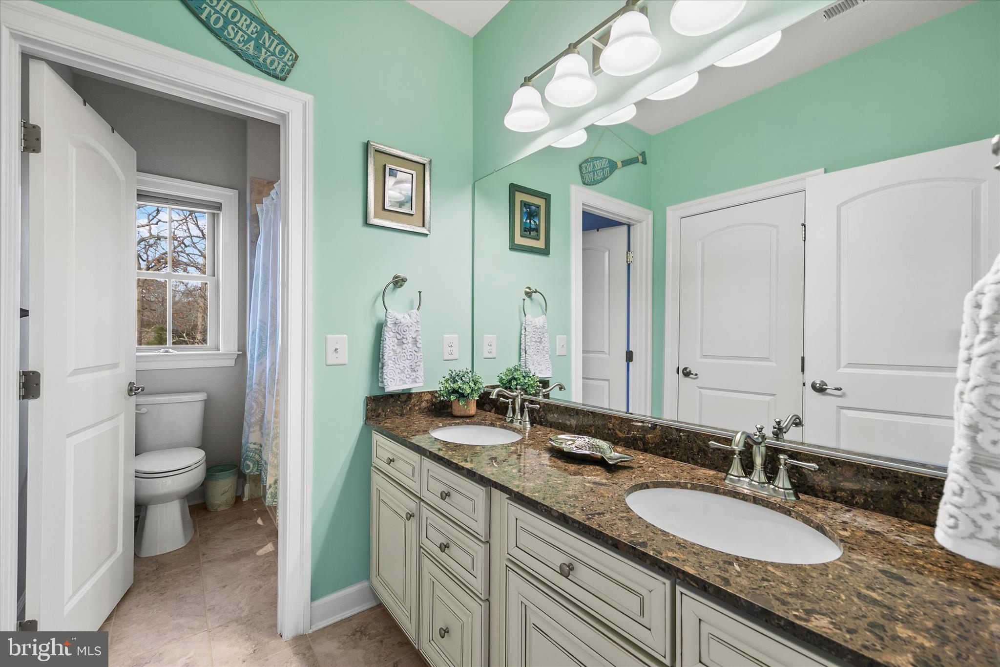 34749 Timber Court Dagsboro, DE 19939 - Photo 40 of 60 a spacious bathroom with a granite countertop double vanity sink a mirror and a toilet