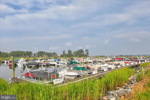 $850,000 | 34749 Timber Court, Dagsboro, DE 19939