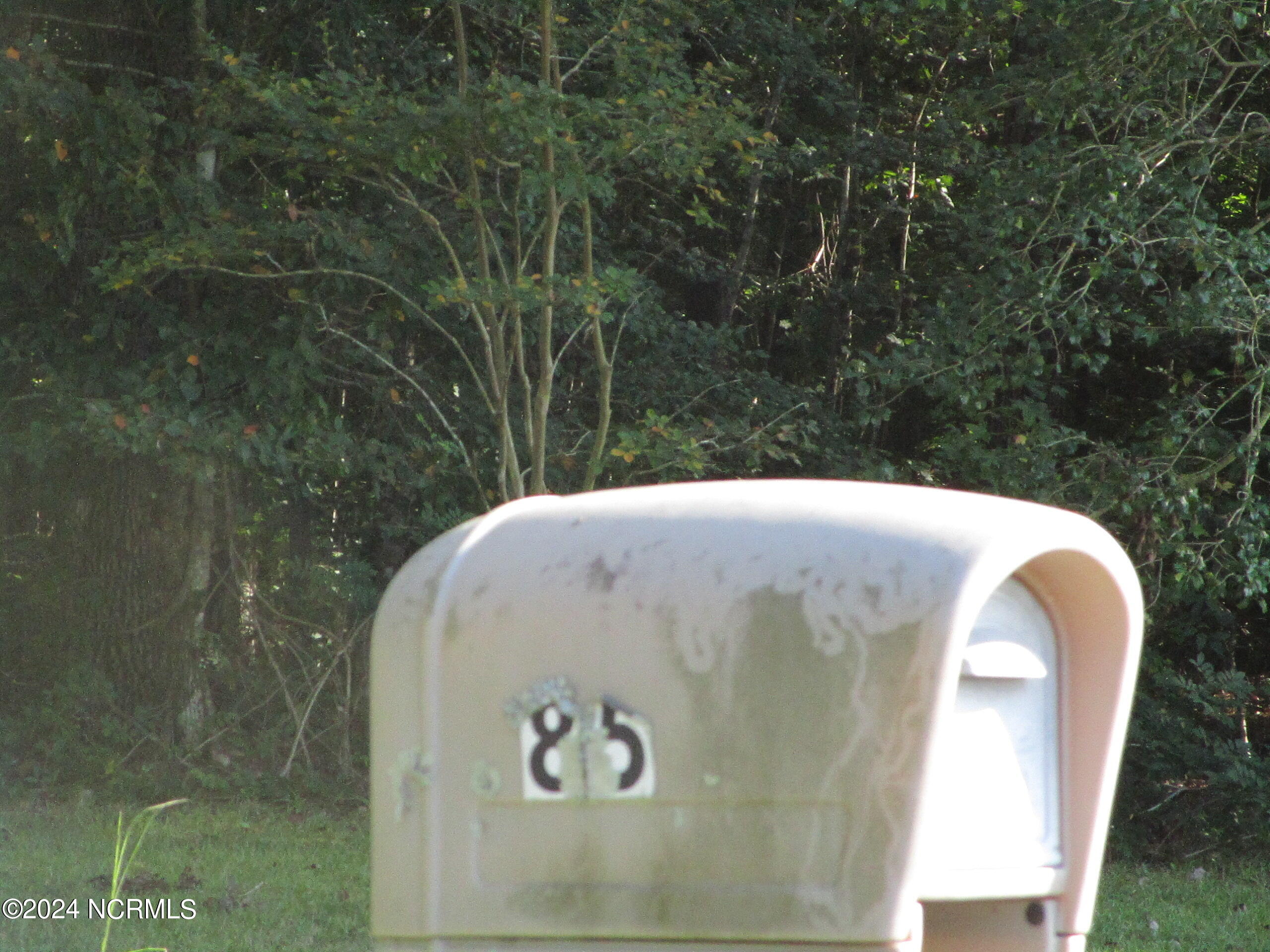 85 Gates Forest Road Eure, NC 27935 - Photo 38 of 59 IMG_3662