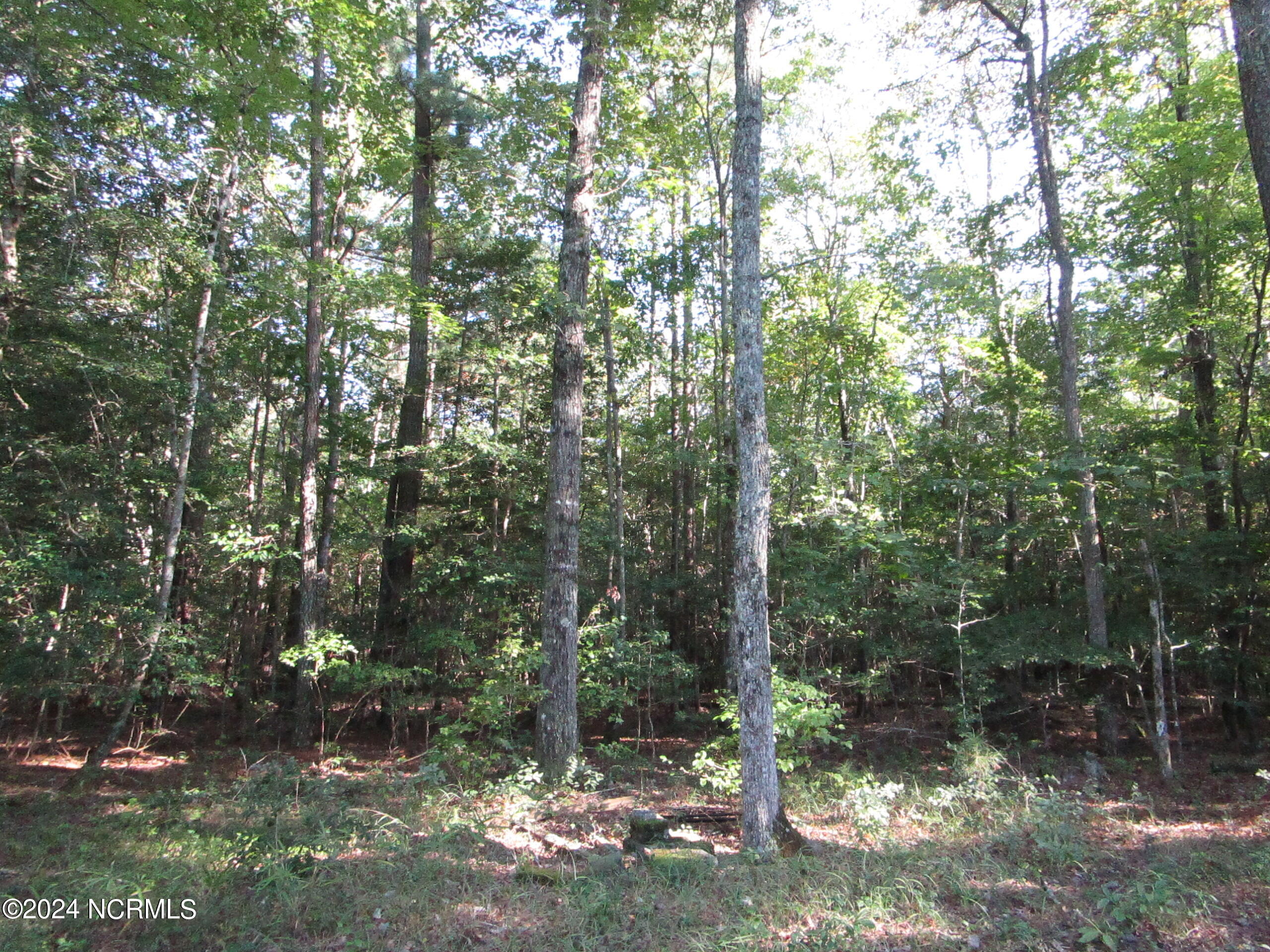 85 Gates Forest Road Eure, NC 27935 - Photo 57 of 59 IMG_3692