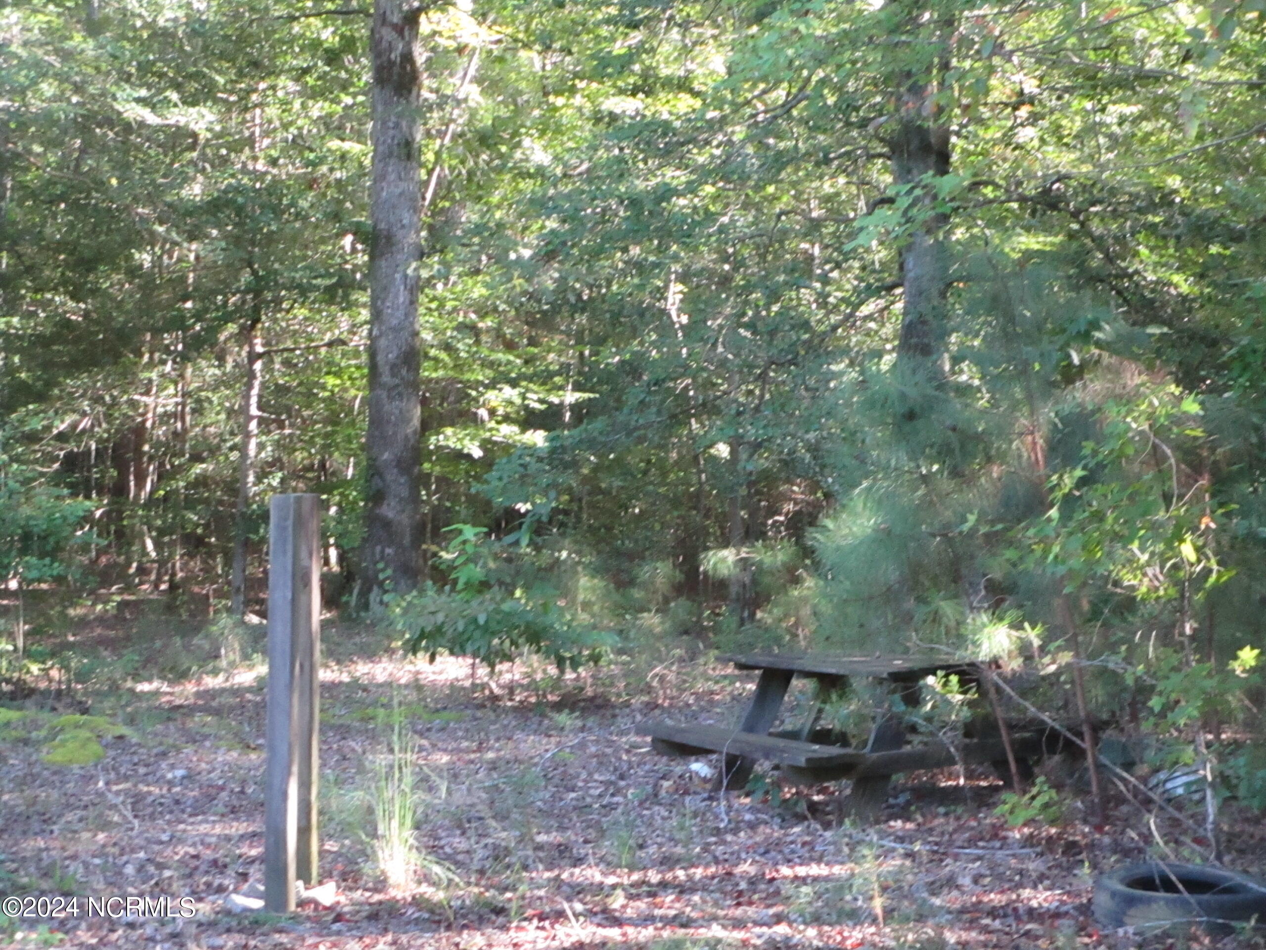 85 Gates Forest Road Eure, NC 27935 - Photo 58 of 59 IMG_3666