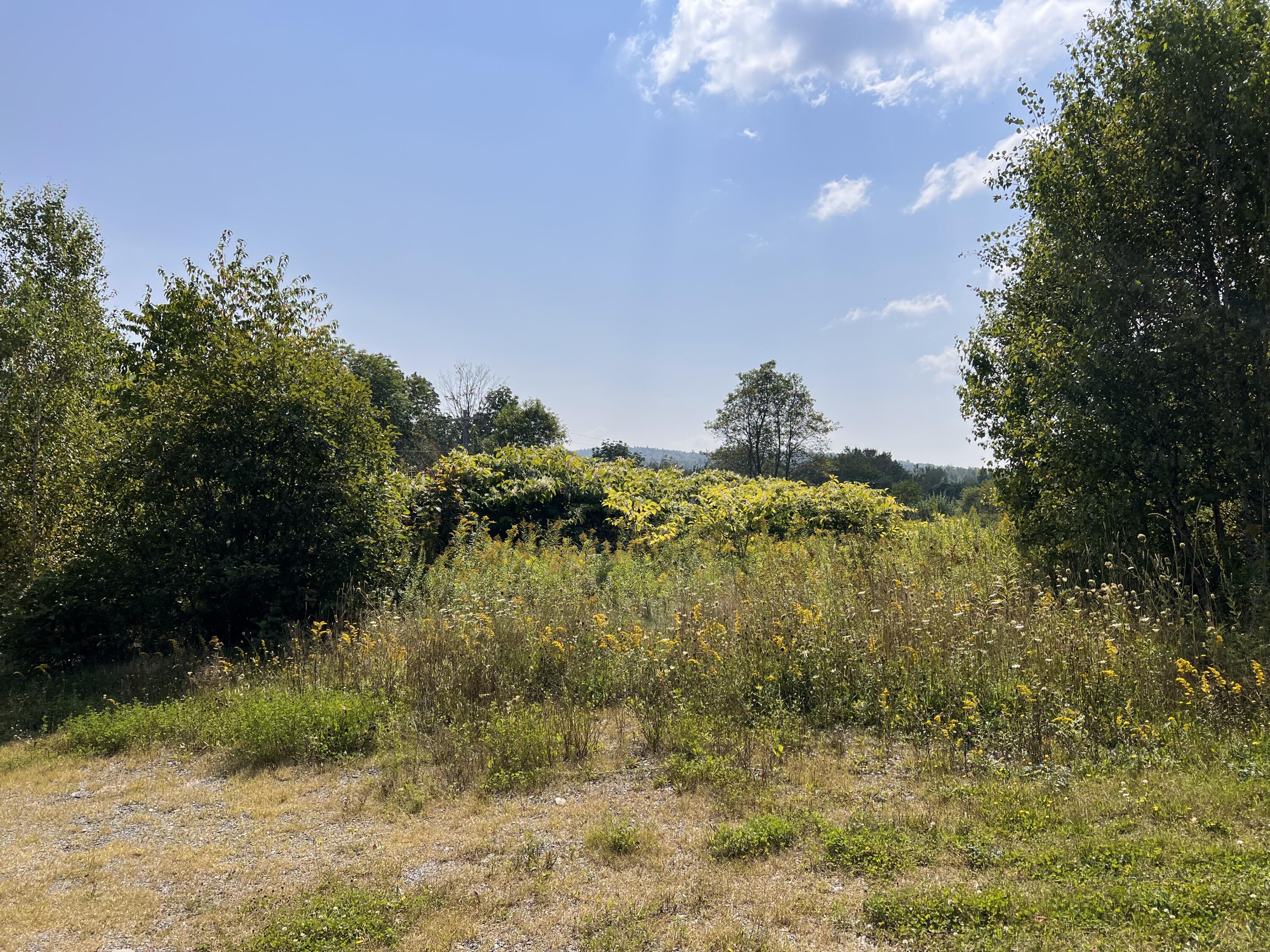 7 Map Road Dedham, ME 04429 - Photo 2 of 6 1.55 Acres