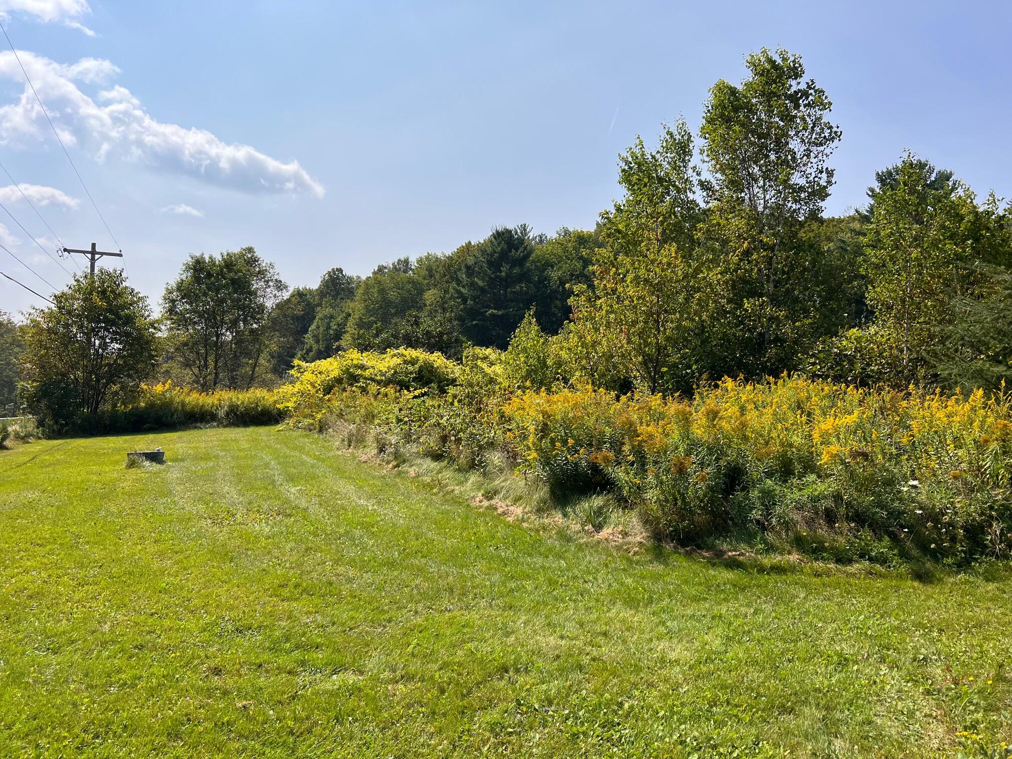 7 Map Road Dedham, ME 04429 - Photo 4 of 6 Previous Leachfield