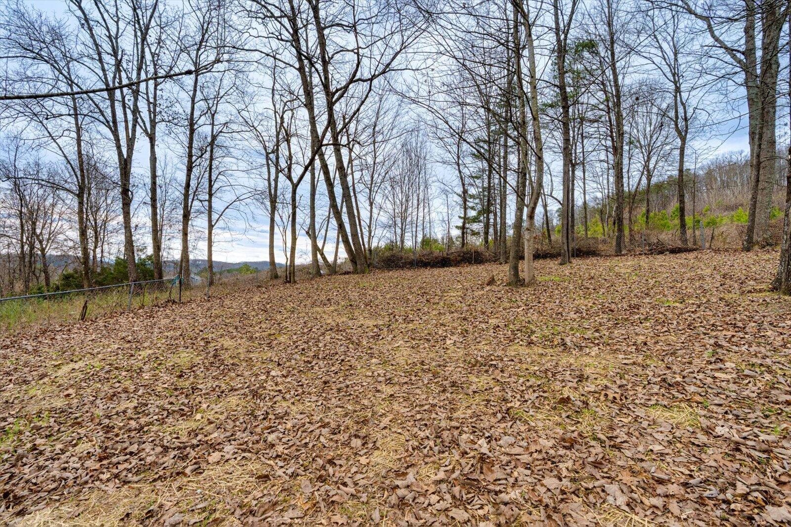 1917 Cir Drive Southwest Cleveland, TN 37311 - Photo 24 of 25 a backyard of a house with lots of green space