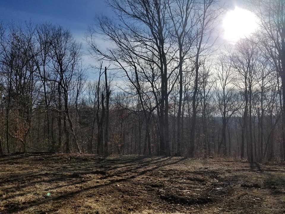 4307 West Walnut Ridge Road Salem, IN 47167 - Photo 2 of 25