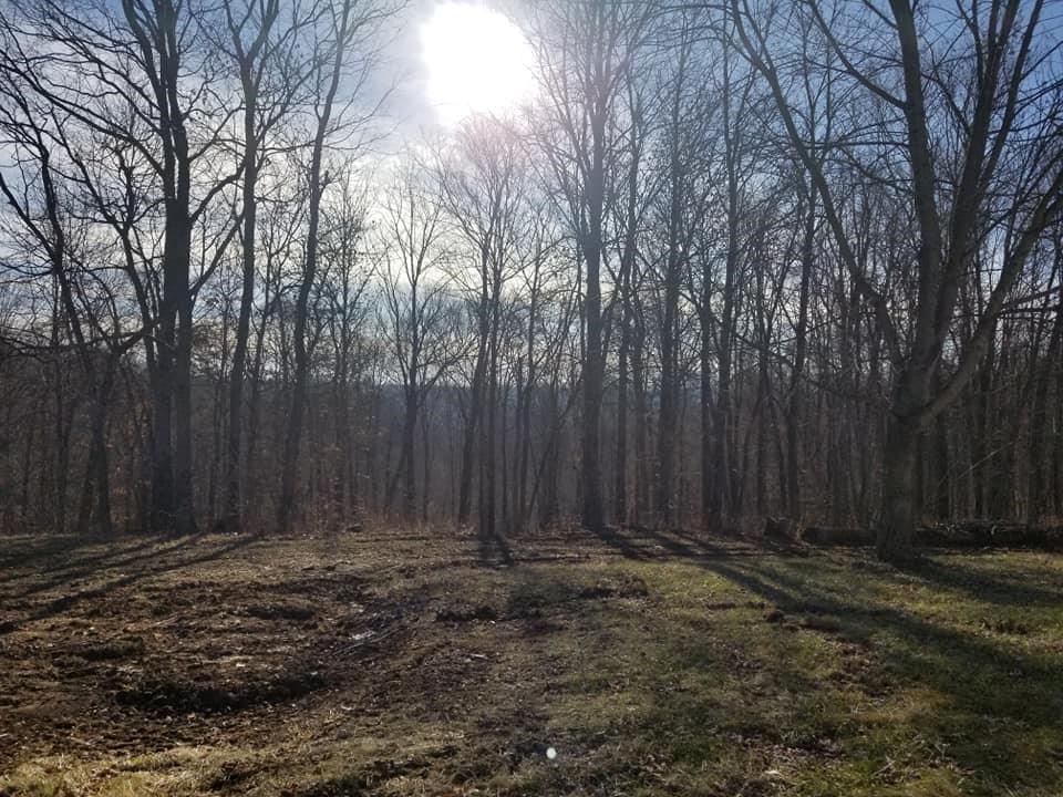 4307 West Walnut Ridge Road Salem, IN 47167 - Photo 19 of 25