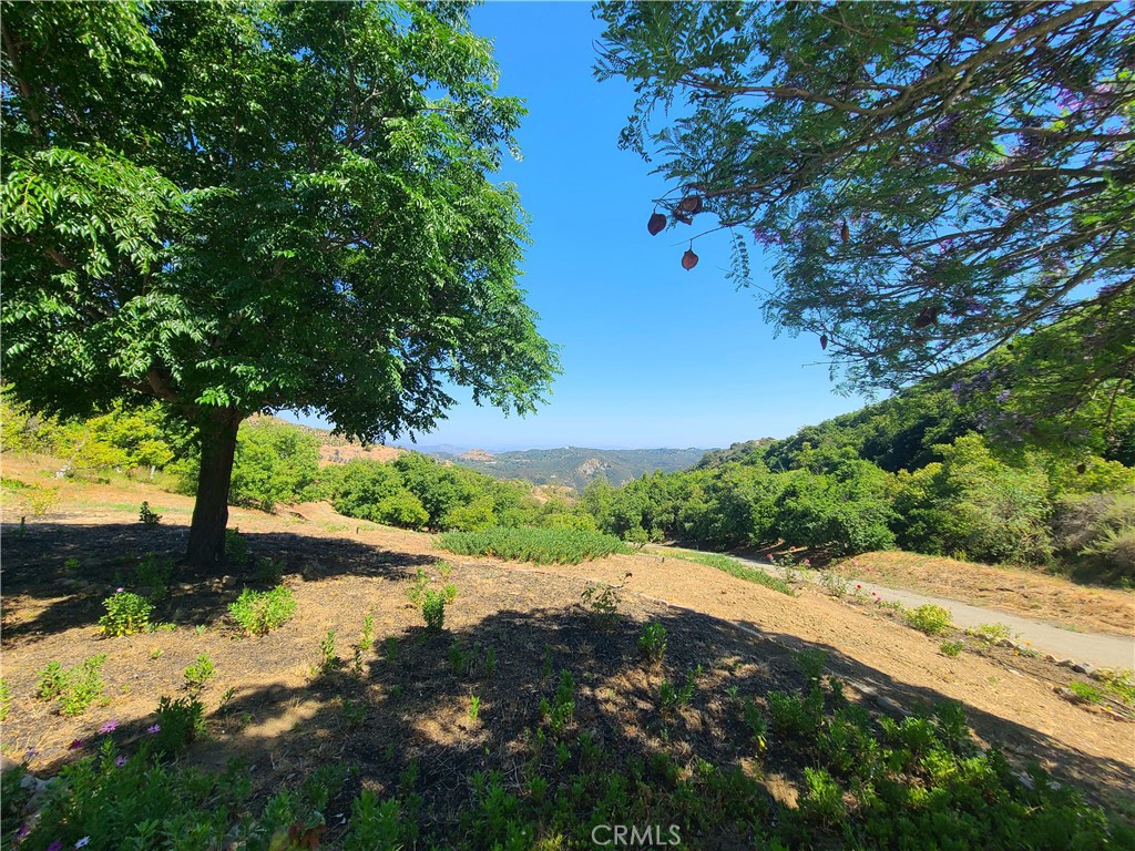 43605 Los Gatos Road Temecula, CA 92590 - Photo 54 of 61