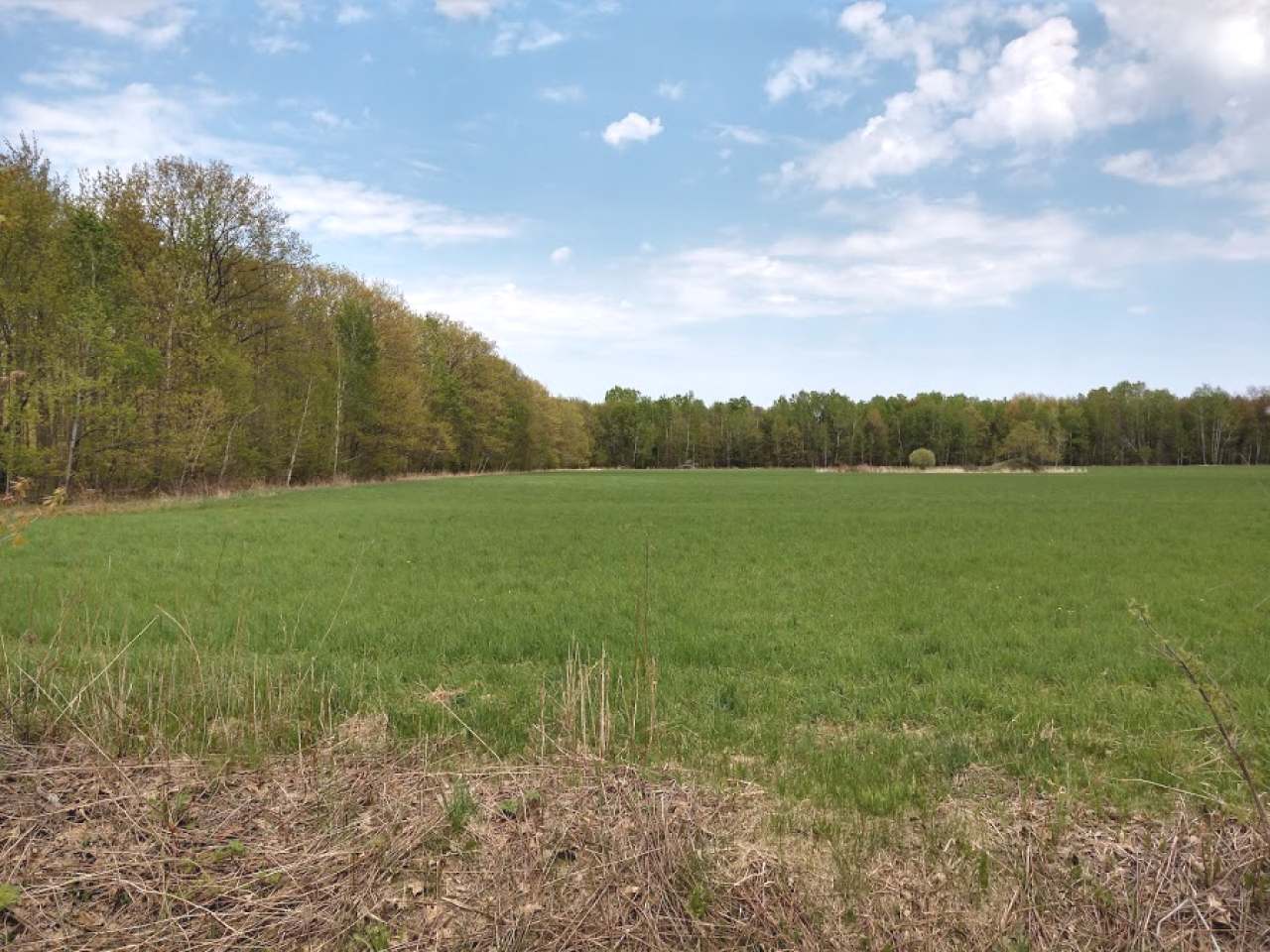 40-acres Vascheau Road Gleason, WI 54435 - Photo 4 of 4 Gallery Image 4