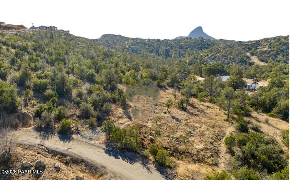 950 Downer Trail Prescott, AZ 86305 - Photo 8 of 8 a view of a forest with mountains in the background
