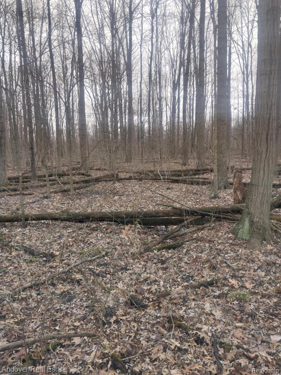 0 Allison Road Milan, MI 48160 - Photo 17 of 19